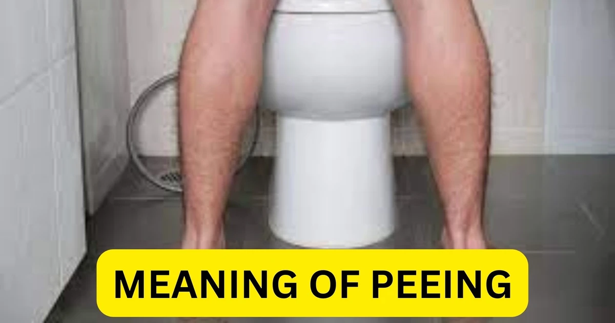 Meaning Of Peeing In A Dream Let Go Of Your Emotions