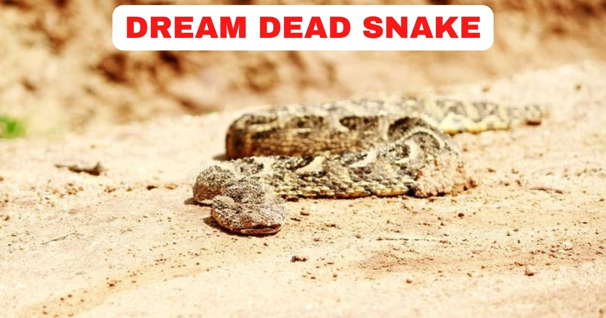 Dream Dead Snake Symbolism Rebirth And Regeneration