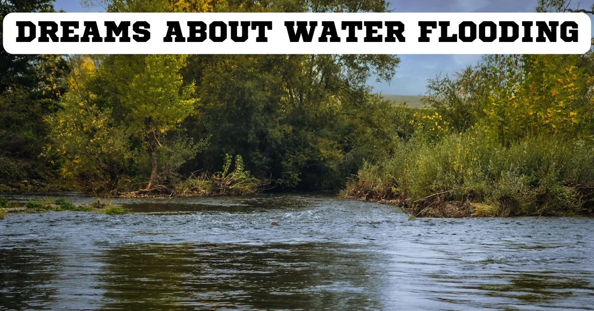 Dreams About Water Flooding - What Is The Meaning Behind It?