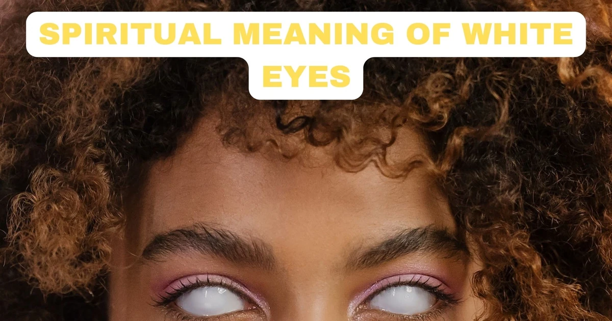 Spiritual Meaning Of White Eyes An Indication Of Purity, Enlightenment, Or Danger
