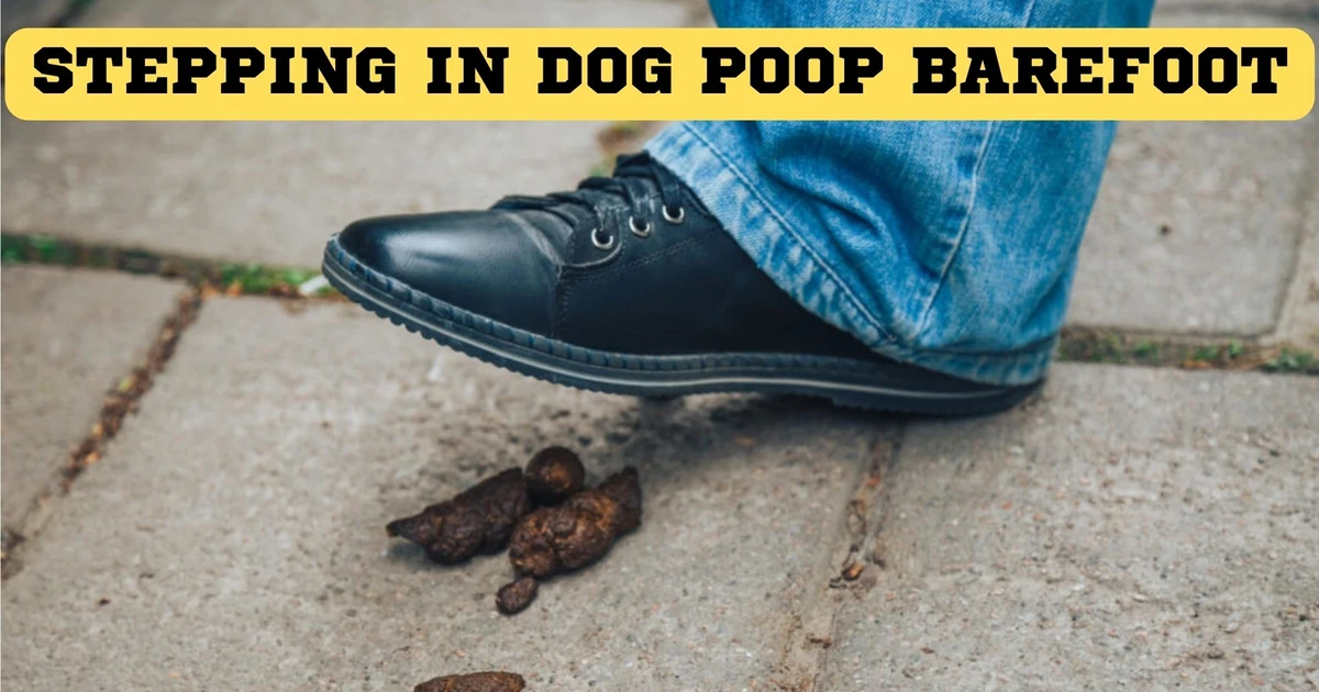 Stepping In Dog Poop Barefoot It Signifies Good Luck
