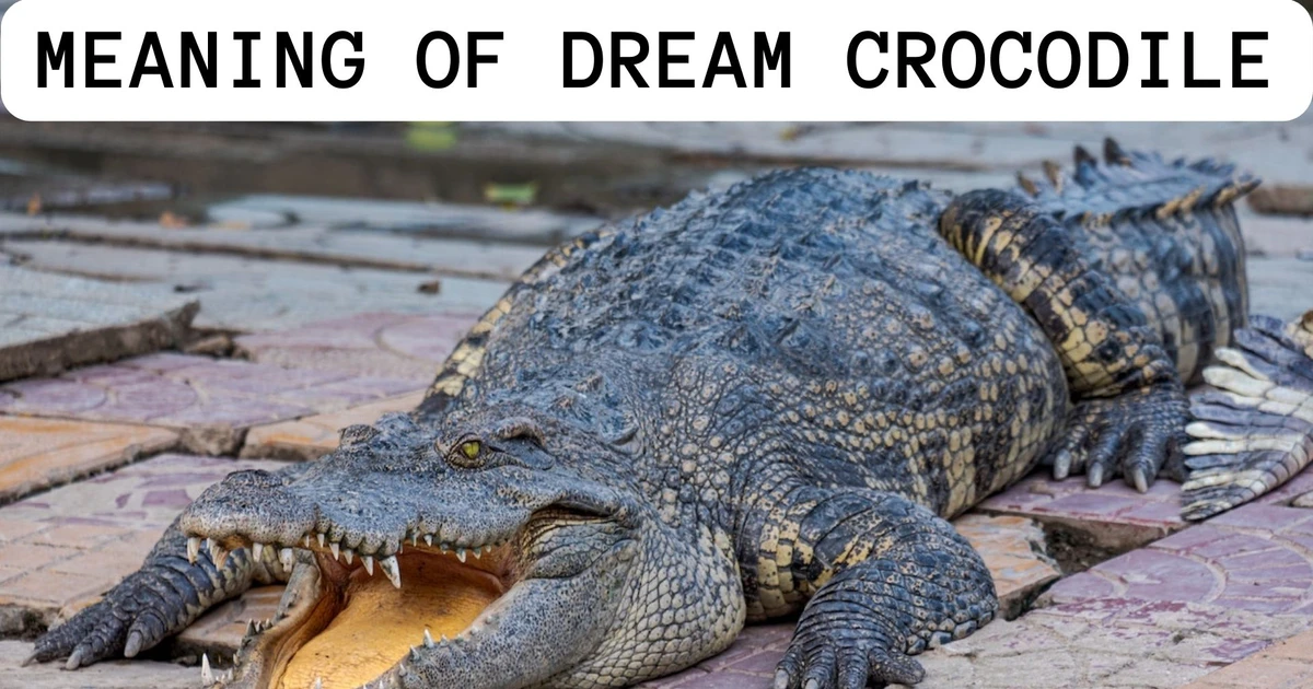 Meaning Of Dream Crocodile Tranquility And Righteousness